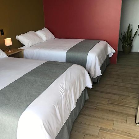 Hospedaje Alto Lechuza Zarcero Ngoại thất bức ảnh